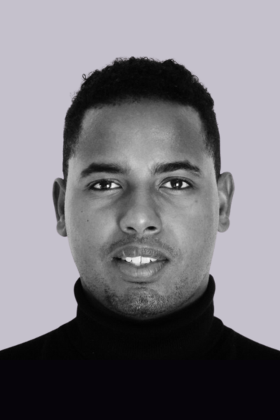 idriss mohamed consultant prime conseil